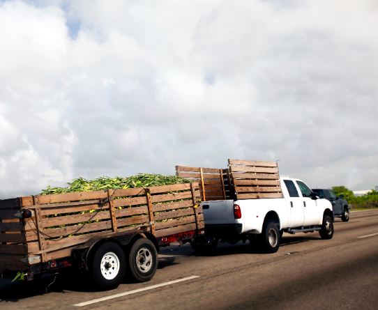 towing a trailer or haul heavy loads